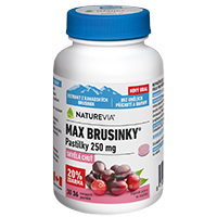 MAX BRUSINKY PASTILKY